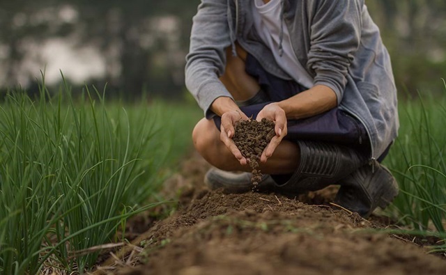 Elamlaboratory : Le spécialiste de l'analyse de sol agricole au Maroc