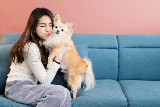 Le chien, une arme contre la solitude