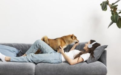 chien sur la santé mentale
