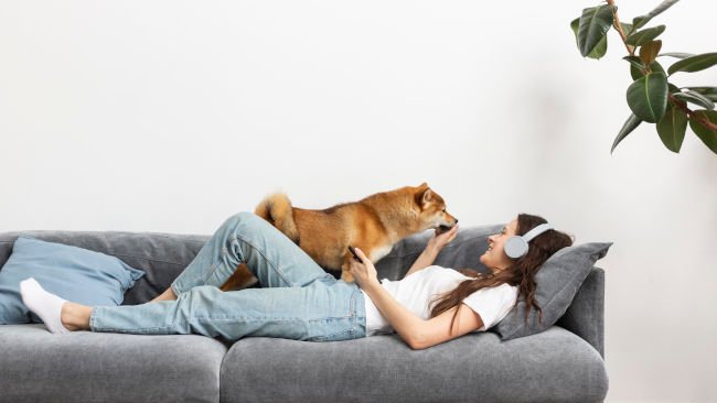 chien sur la santé mentale
