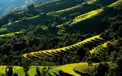 agence de voyage au Vietnam