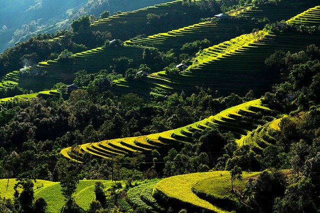 agence de voyage au Vietnam