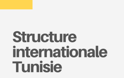 structure internationale Tunisie et analyse du projet offshore
