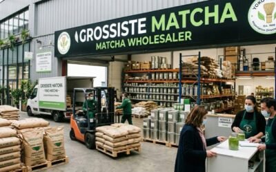 Grossiste matcha