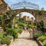 Herbes Naturopathie